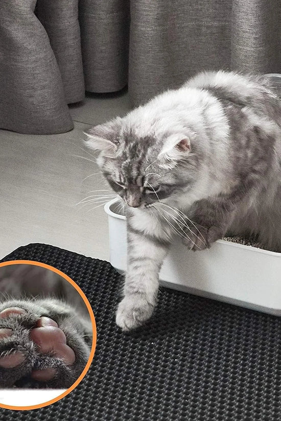 Cat Litter Trapping Mat