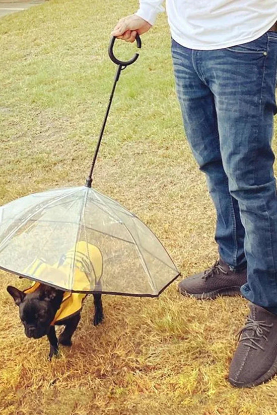 Dog Umbrella