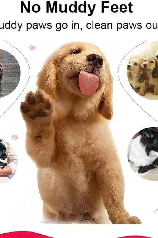 Dog Paw Cleaner